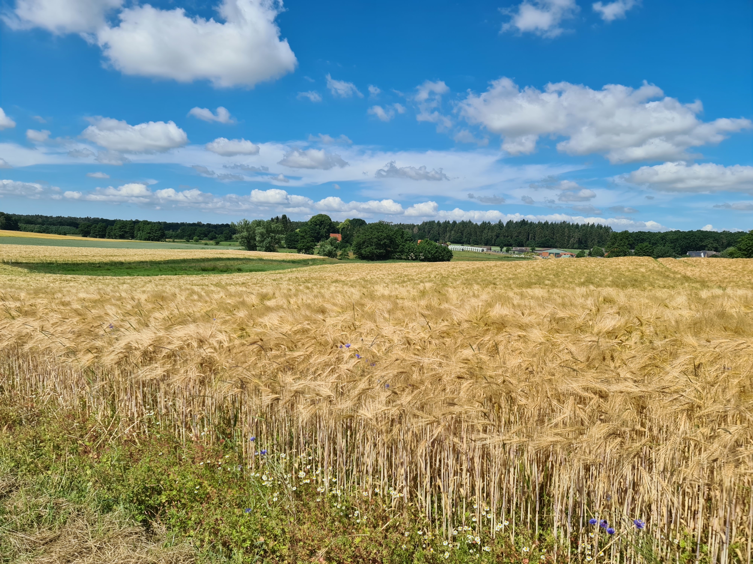 Natur rund um Mölln