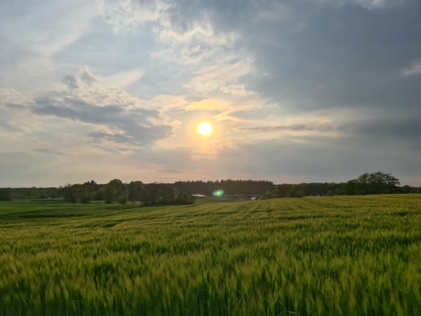 Seenlandschaft im Naturpark Lauenburgische Seen – Wandern und Radfahren nahe Ratzeburg und Schaalsee